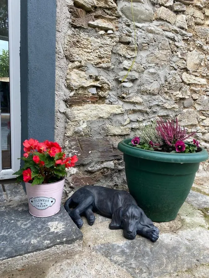 Ferienhaus Sanctuary Lodge Cork